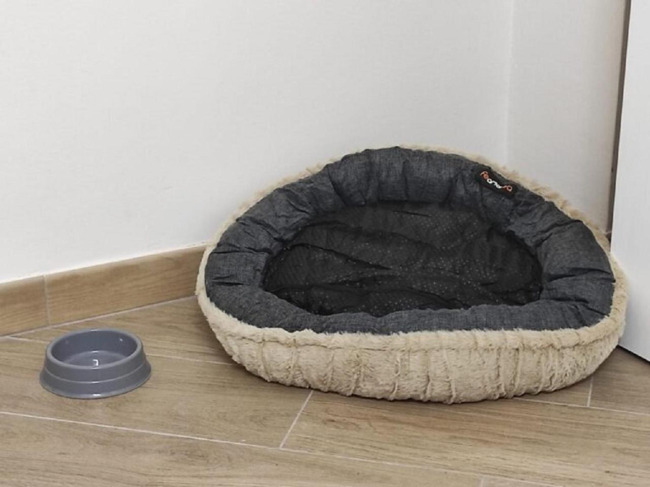 Apartamento Cerea